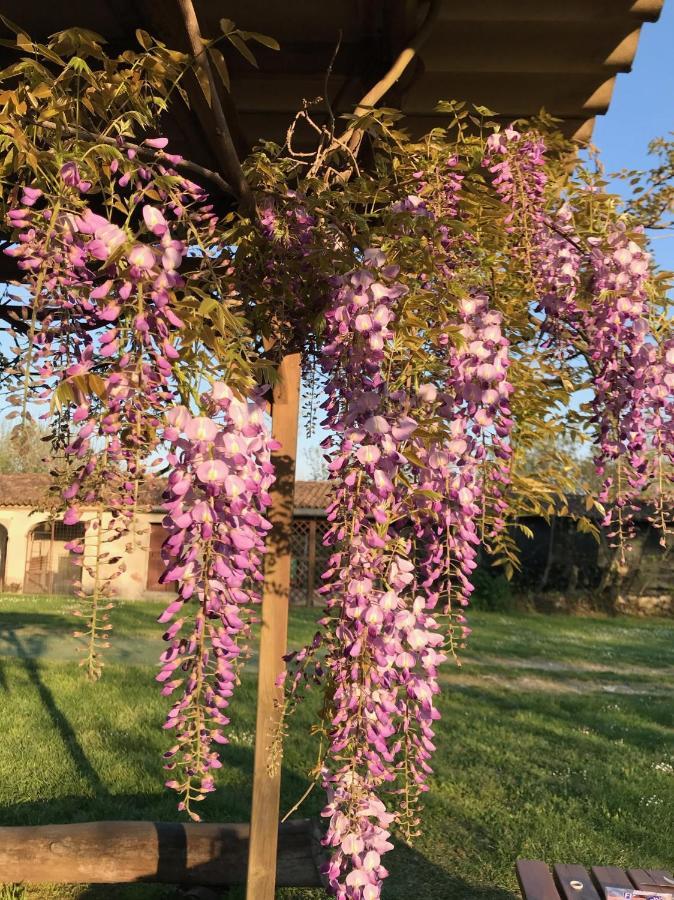 Cesole Agriturismo Corte Galvagnina מראה חיצוני תמונה