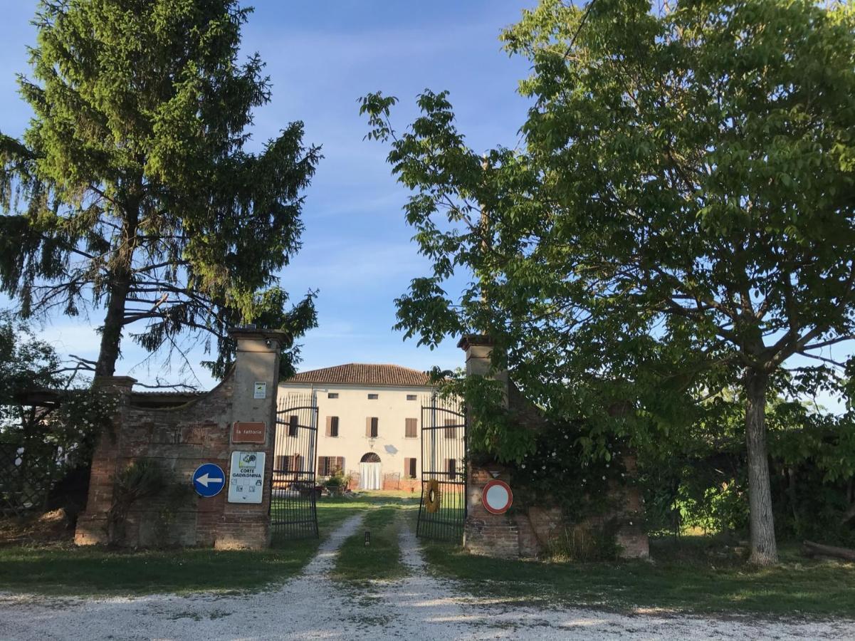 Cesole Agriturismo Corte Galvagnina מראה חיצוני תמונה